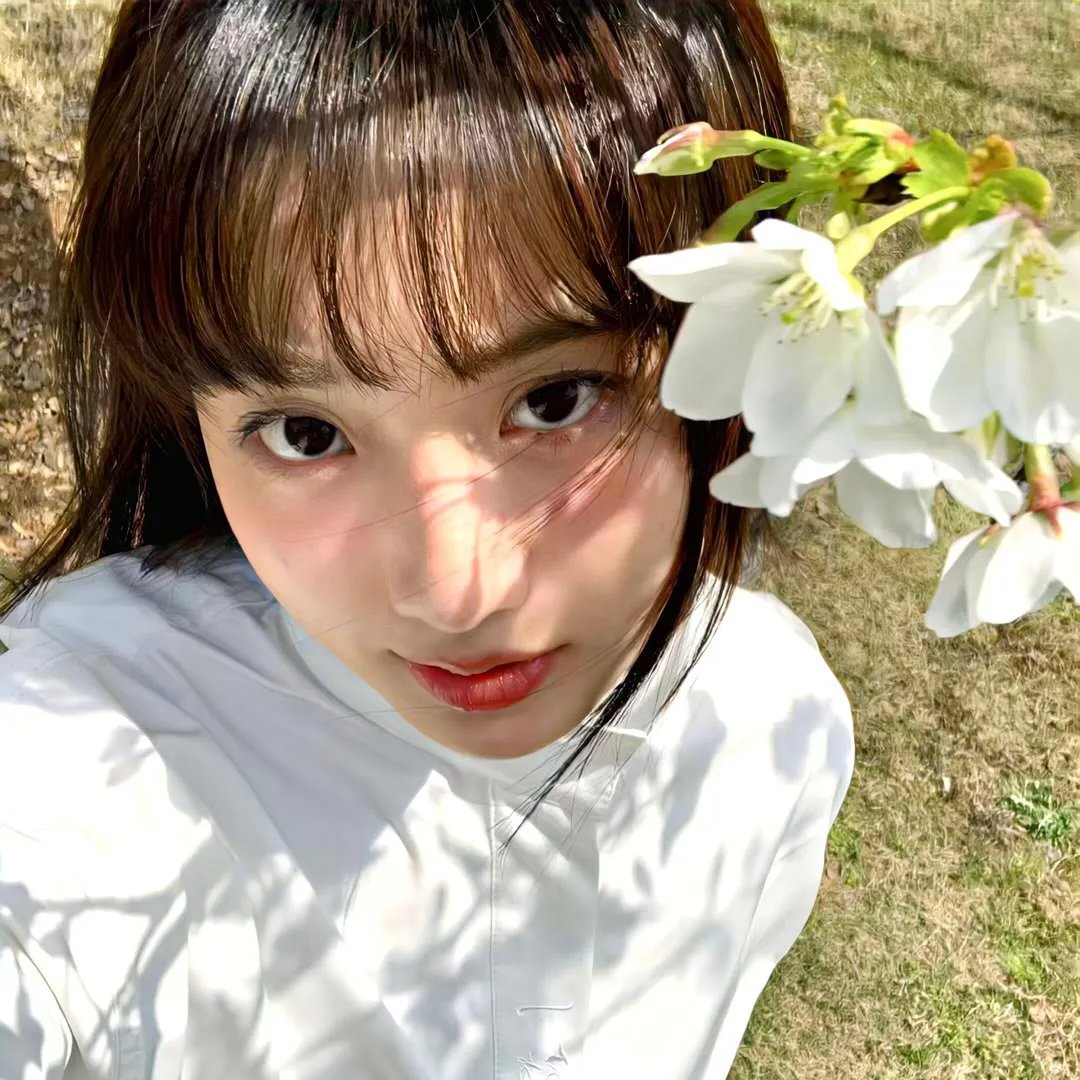 青楼烟云